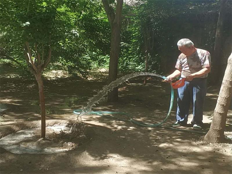 2018062609311529976686813055343.jpg 400856664613303433_看图王.jpg